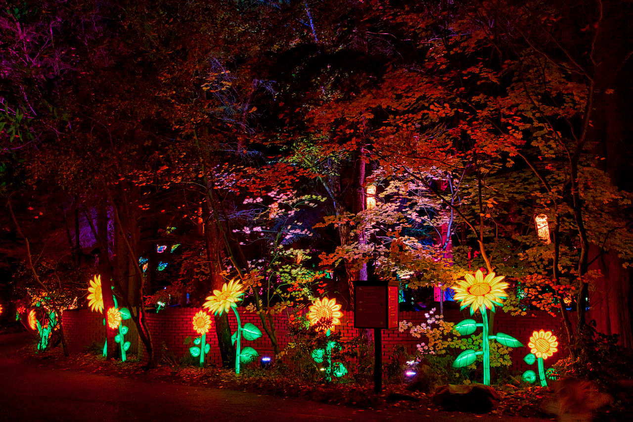 Woodland Park Zoo Lights 2025